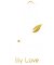 Fondo-en-blanco.png